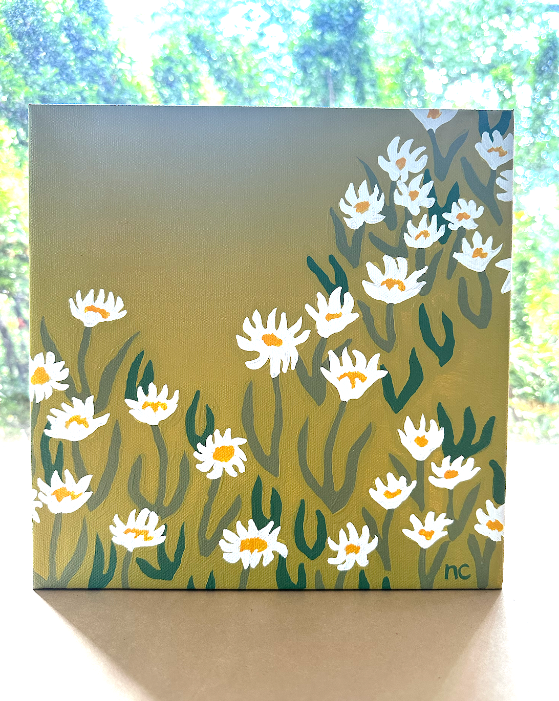 Daisy Meadow
