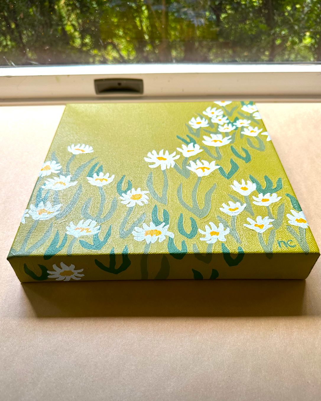 Daisy Meadow