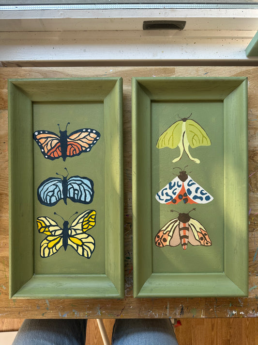Butterfly & Moth Pair (Both Can Be True)