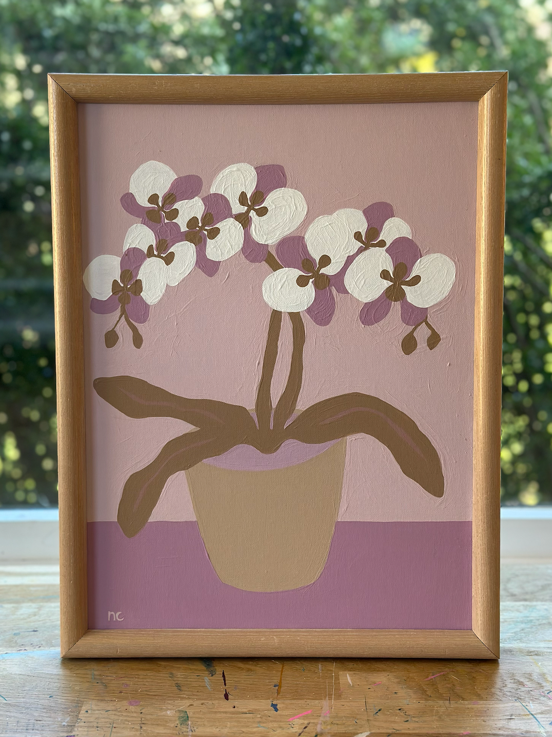 Orchids