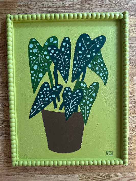 Green Begonia (Homebound)