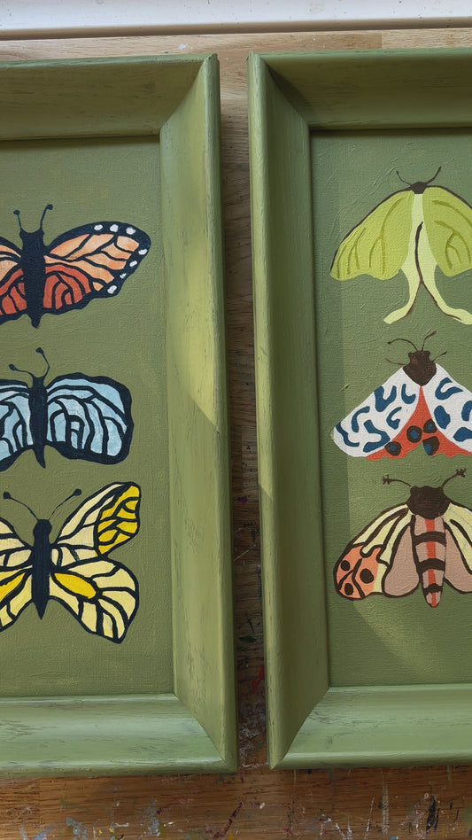 Butterfly & Moth Pair (Both Can Be True)