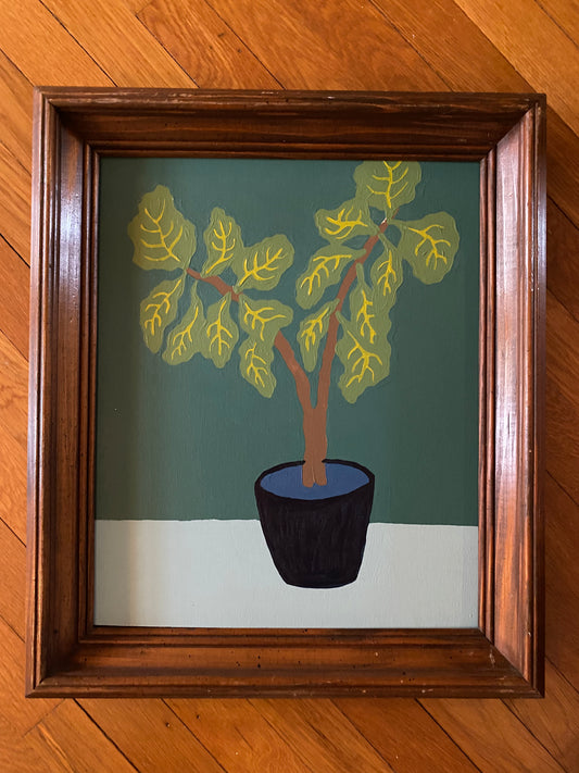 Fiddle fig in unpainted frame